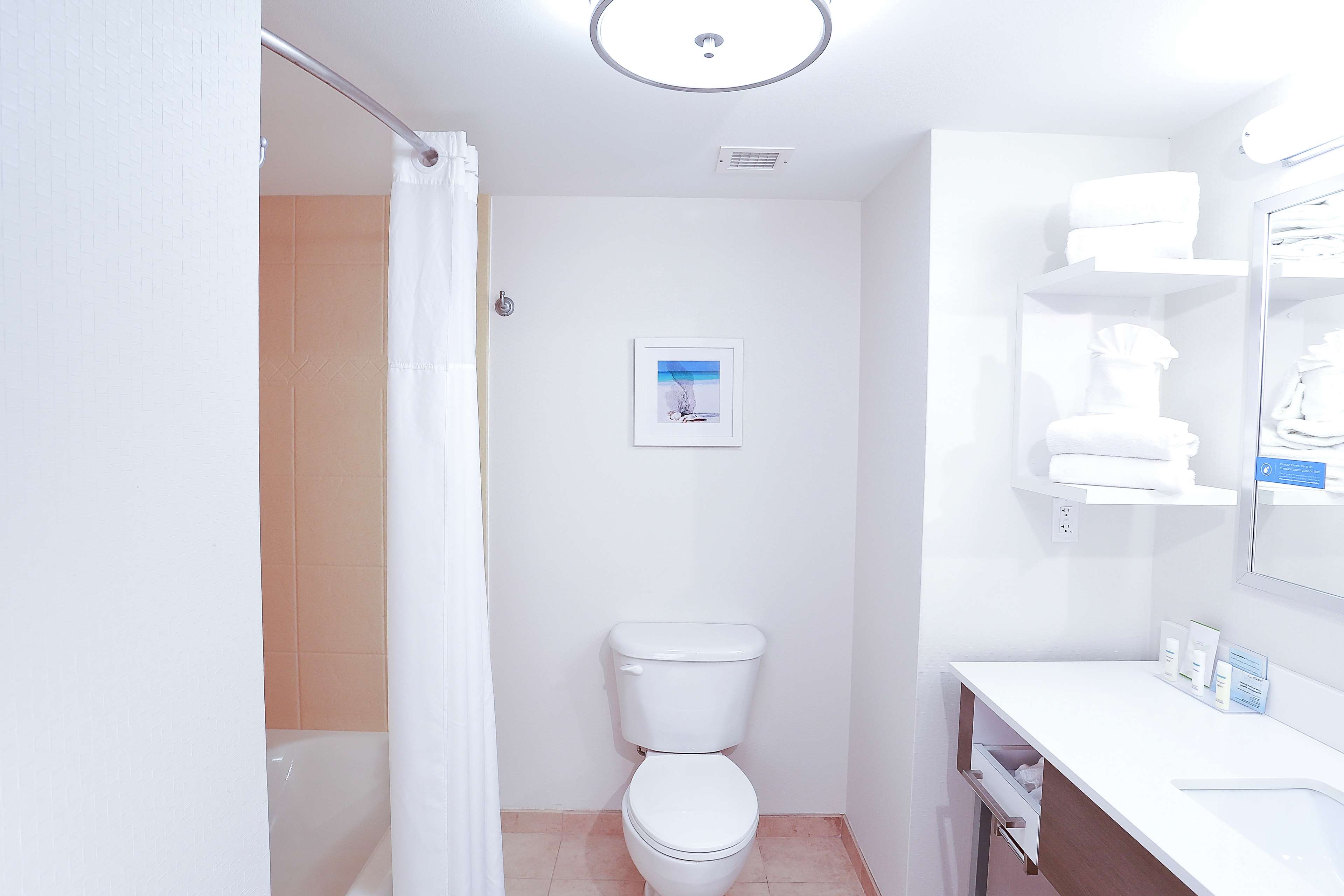 Hampton Inn & Suites Tampa Wesley Chapel - Tap to explore photos
