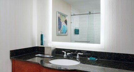 DoubleTree by Hilton Greensboro Room Type - 1KNG MOB HEAR ACC W TUB NS