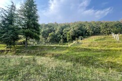Himalayan Valley Homestead