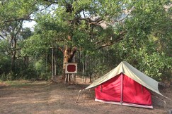 Nadimoola by Jollyboys