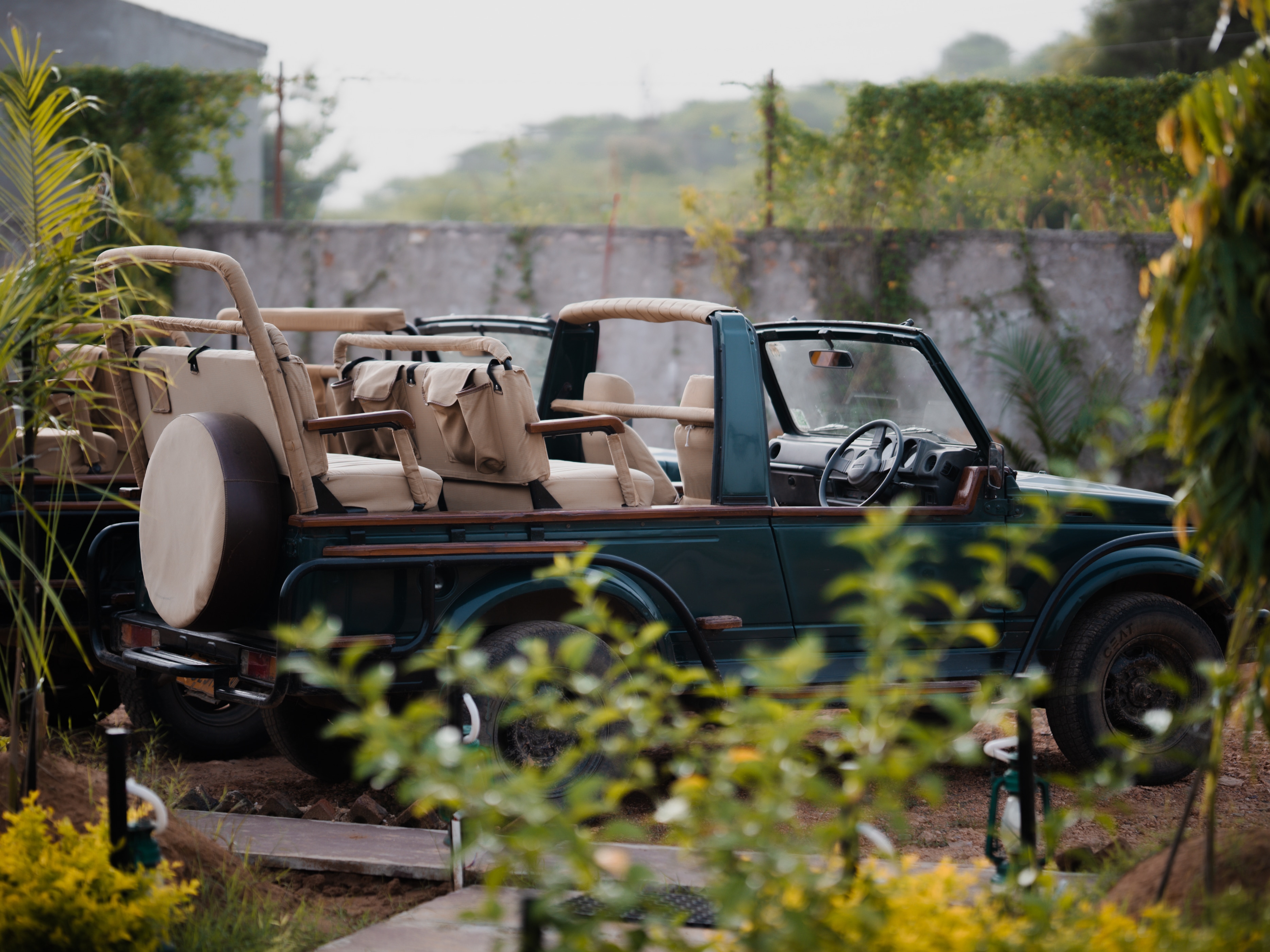 Ranthambhore Ghati - Tap to explore photos