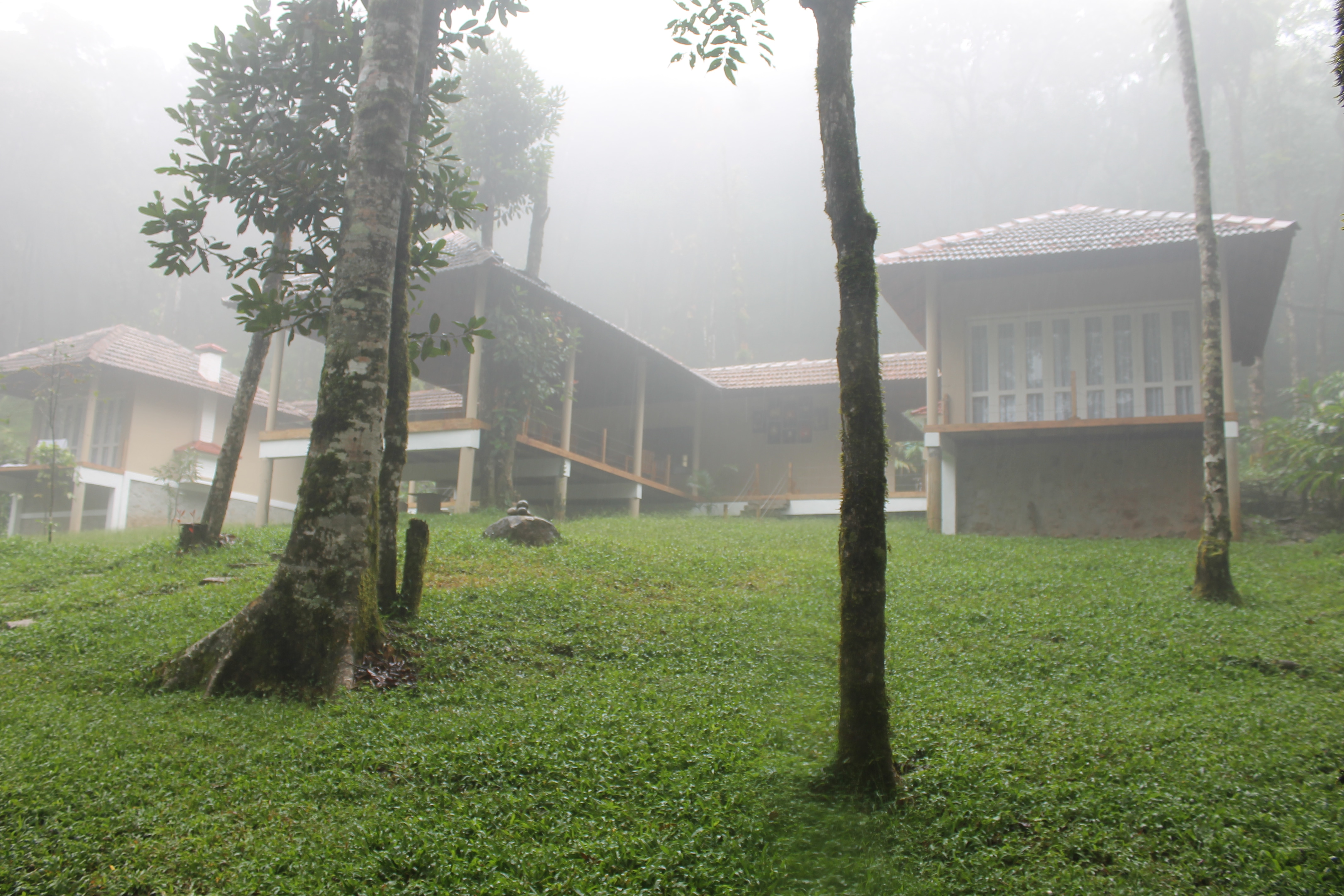 Lanternstay Jungle Resort - Tap to explore photos