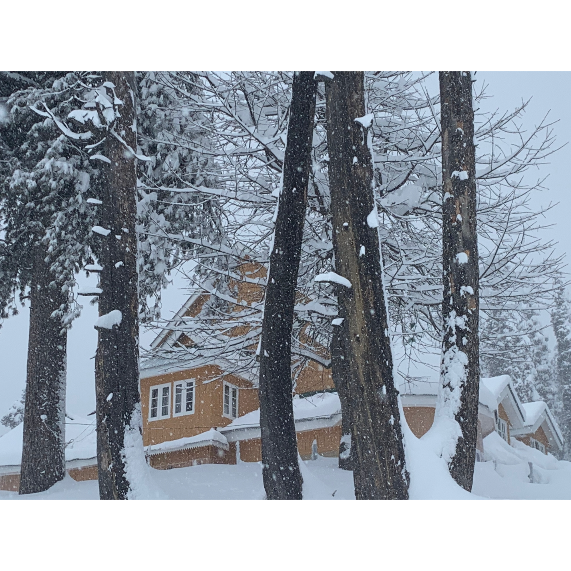 Gulmarg Ski Hill Resort - Tap to explore photos