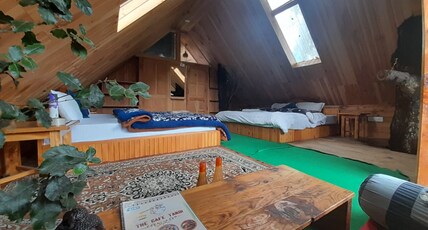 Sunlight Tree House Room Type - Tree House 1
