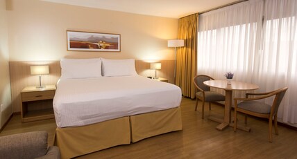 Holiday Inn MONTEVIDEO Room Type - 1 King Standard