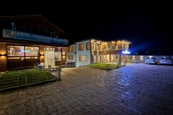 HOTEL SONAMARG PALACE