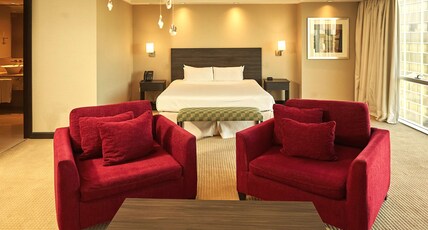 Hilton Mendoza Room Type - 1 KING BED JR SUITE