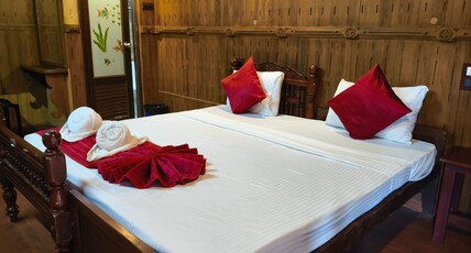 Nikhil Ayurvedic Heritage Room Type - Standard Non AC