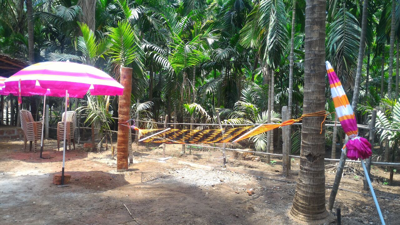 Coral Beach Resort - Tap to explore photos