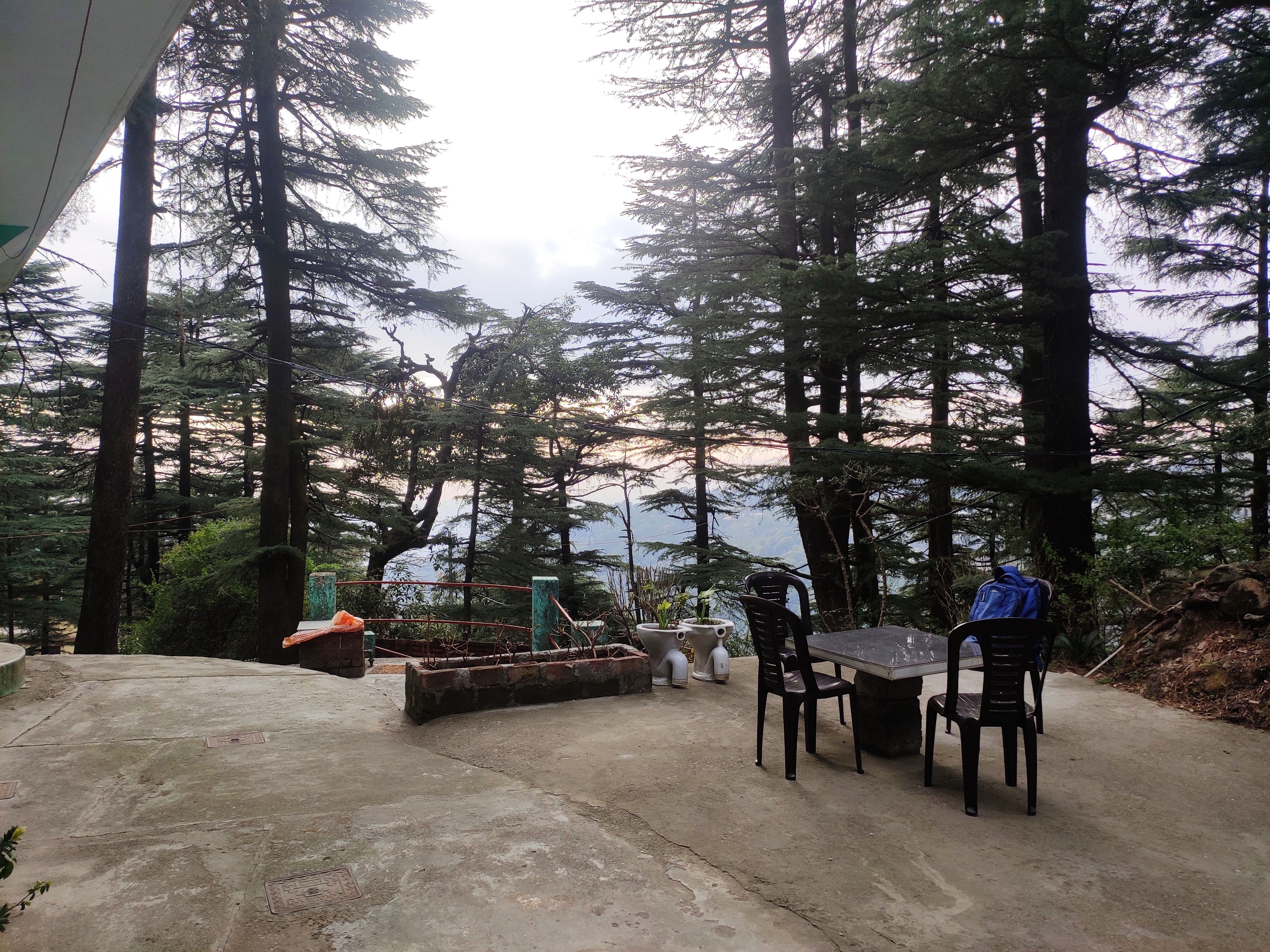 Shree Guest House - Tap to explore photos