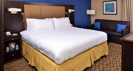 Holiday Inn Express HUNT VALLEY Room Type - 1 King Standard Sofa Bed
