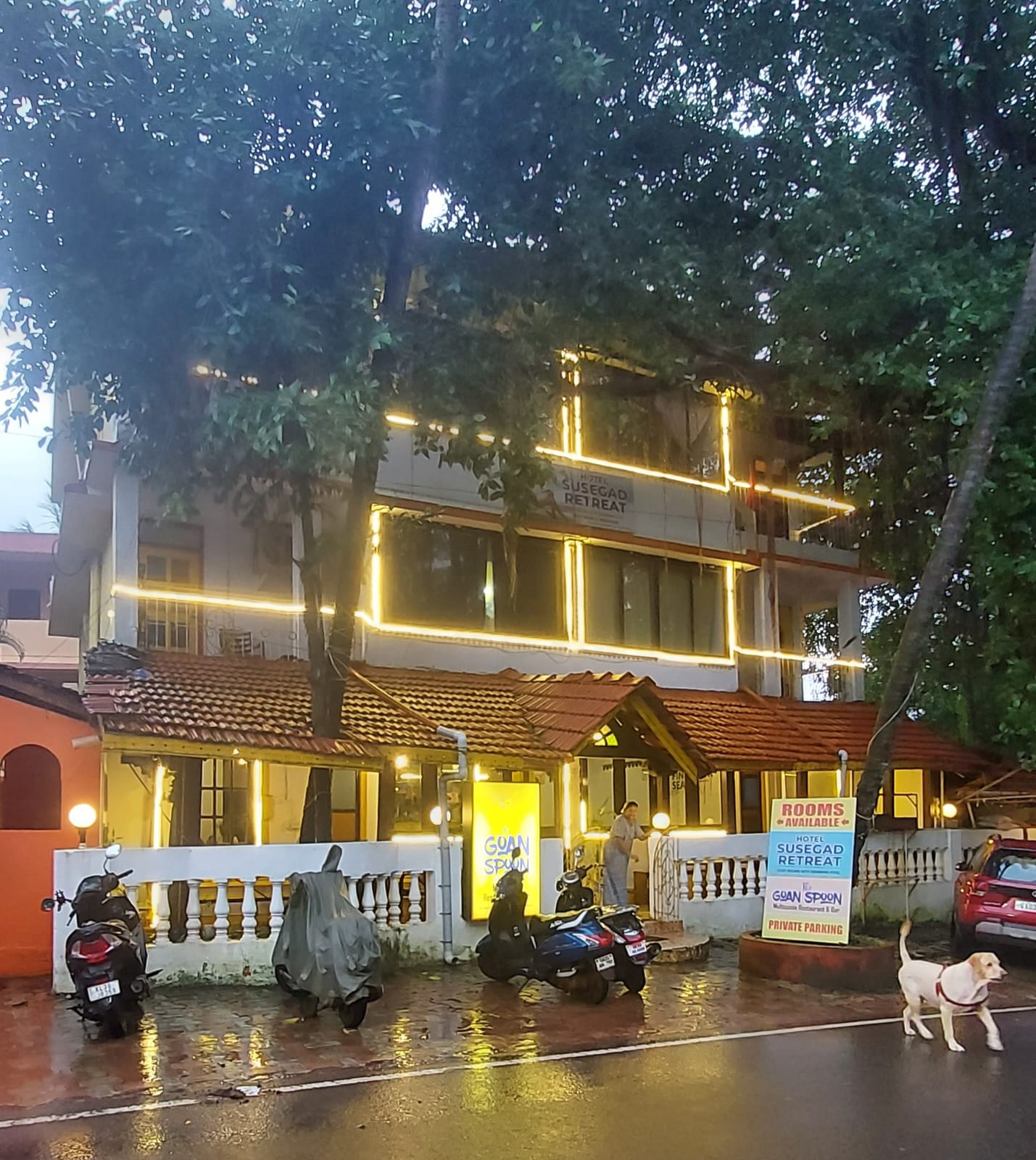 Main gallery
