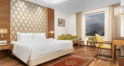 Sarovar Premiere Srinagar Room Type - Deluxe room - 1 Double Bed