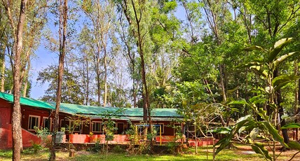 THE JUNGLE RESORT, AMBA Room Type - Standard Room AC
