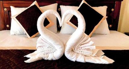 Thour Nature Resorts Jawai Room Type - Luxury Tent Thour Nature Resorts Jawai Room Type - Luxury Tent