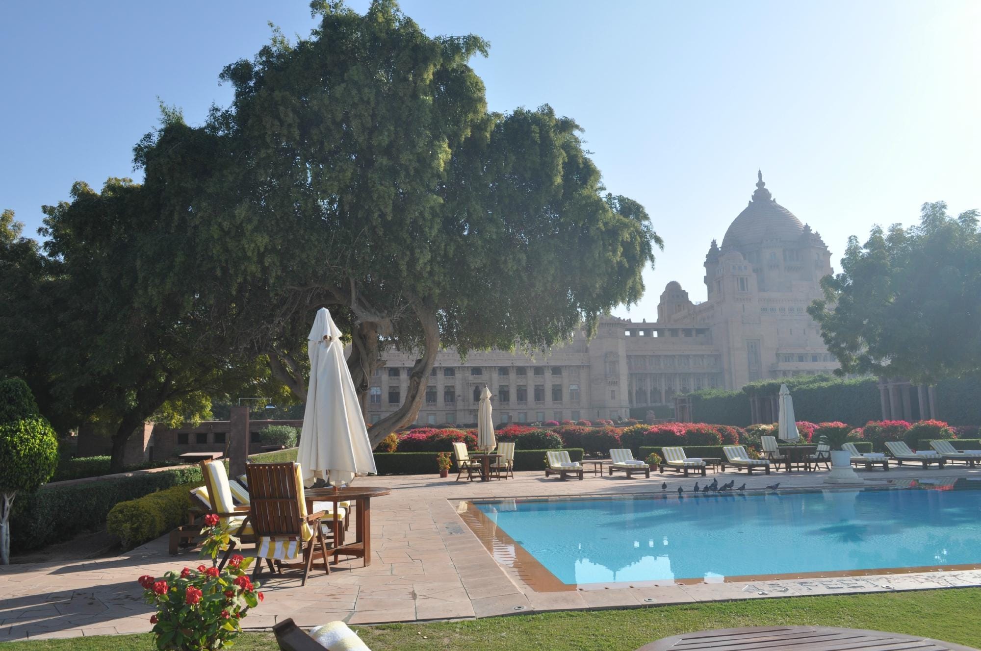 Umaid Bhawan Palace, Jodhpur - Tap to explore photos