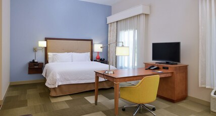 Hampton Inn & Suites by Hilton Lonoke Room Type - 1KN STDO MIC FRIDG WTBR NS