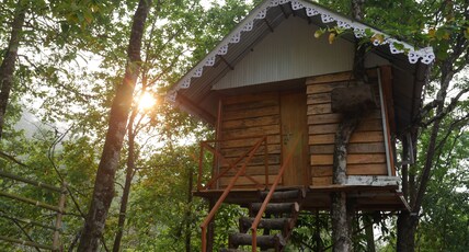 ECOYARD HOMESTAY Room Type - KOIRALO tree house