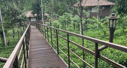 Harmony Farms | A Tea-Garden Stay Room Type - Sky High Cottage