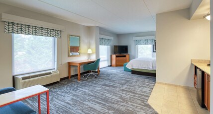 Hampton Inn Wilmington University Area Room Type - 1KNG STUDIO SOFABED NOSMOK