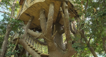Corbett The Den Riverview Resort & Pet Friendly Room Type - Tree House Machan (With Bathtub)
