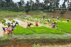 Misty huts home stay