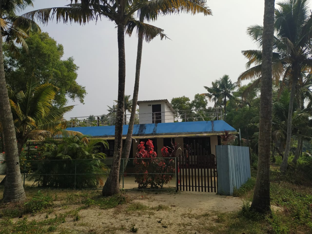 Marari Beach Homestay - Tap to explore photos