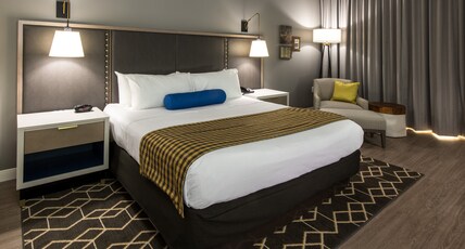 Hotel Indigo HATTIESBURG Room Type - 1 King Bed Standard