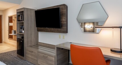 Holiday Inn Express CRYSTAL RIVER Room Type - STANDARD
