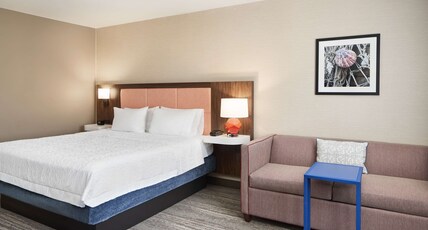 Hampton Inn by Hilton Clewiston Room Type - 1 KING STUDIO W  SOFA-BED