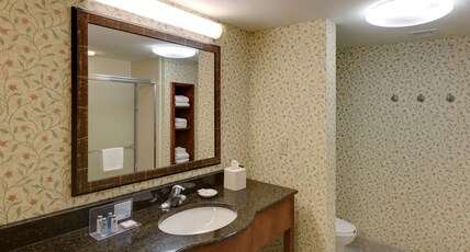 Hampton Inn & Suites Columbus Polaris Room Type - 2QNS STUDIO SOFABED NOSMOK