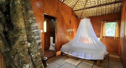 Vythiri Resort Room Type - Tree House(Child below 12 years strictly not allowed)