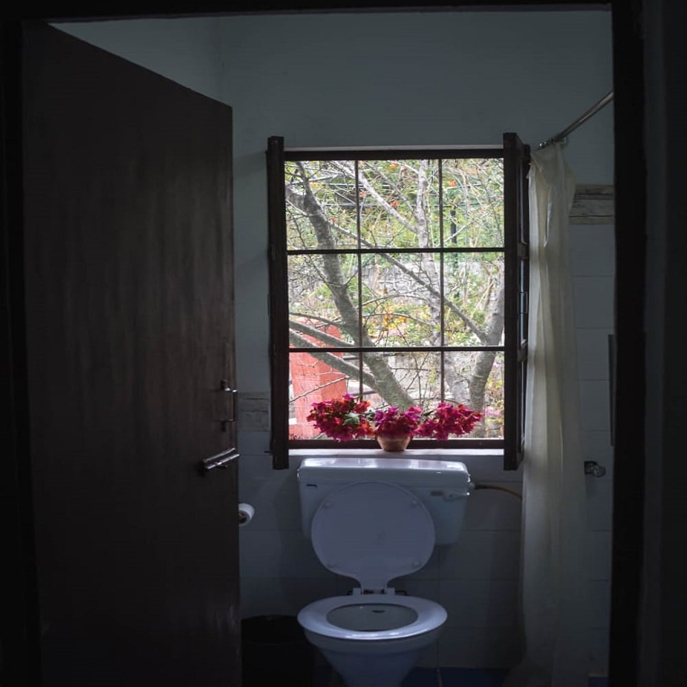 Peaches and Pears - Tap to explore photos