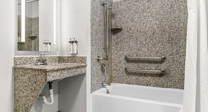 Holiday Inn Express Hotel & Suites - Novi Room Type - 1 King Standard