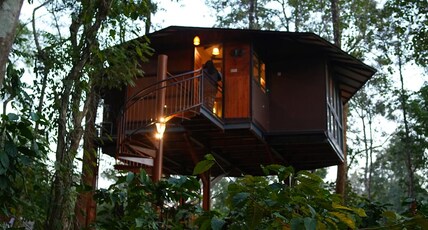 Pugmark Jungle Resort Room Type - Tree House Honeymoon Cottage with Jacuzzi