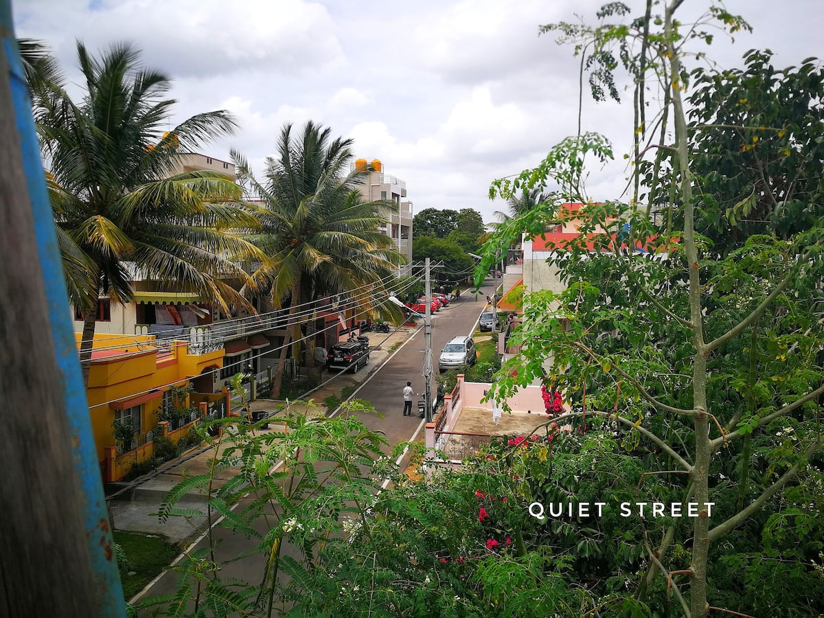 vertical garden - Tap to explore photos