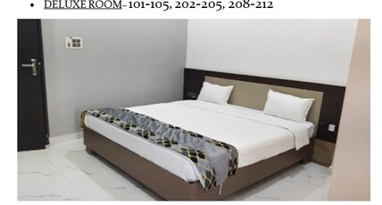AHUJA PALACE KONDAGAON Room Type - DELUXE ROOM