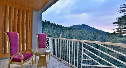 DLS Ark Holiday Inn Room Type - Luxury Suite with Balcony