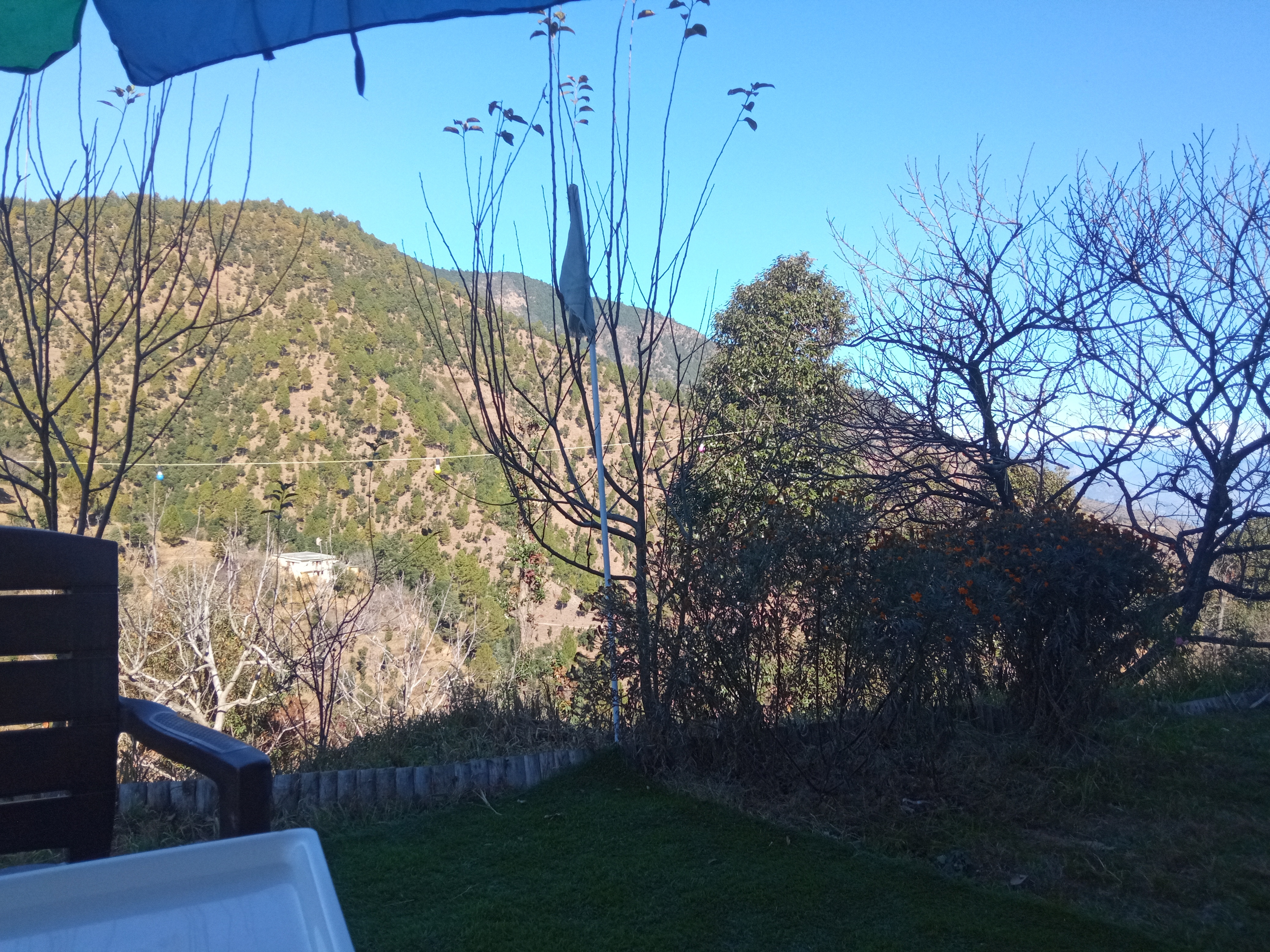 In Apple Estate Resort - Tap to explore photos