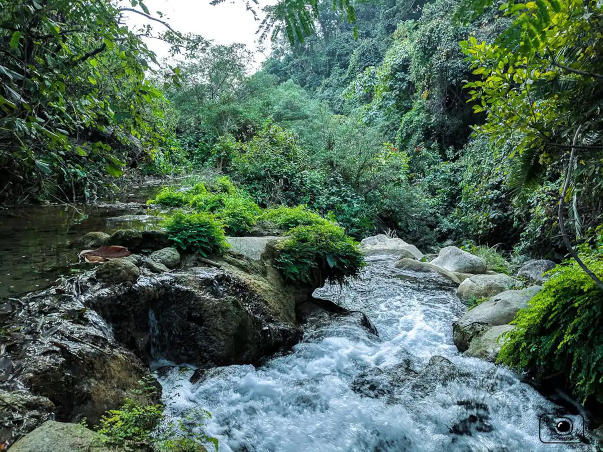 Tribe Aqua-Rishikesh - Tap to explore photos