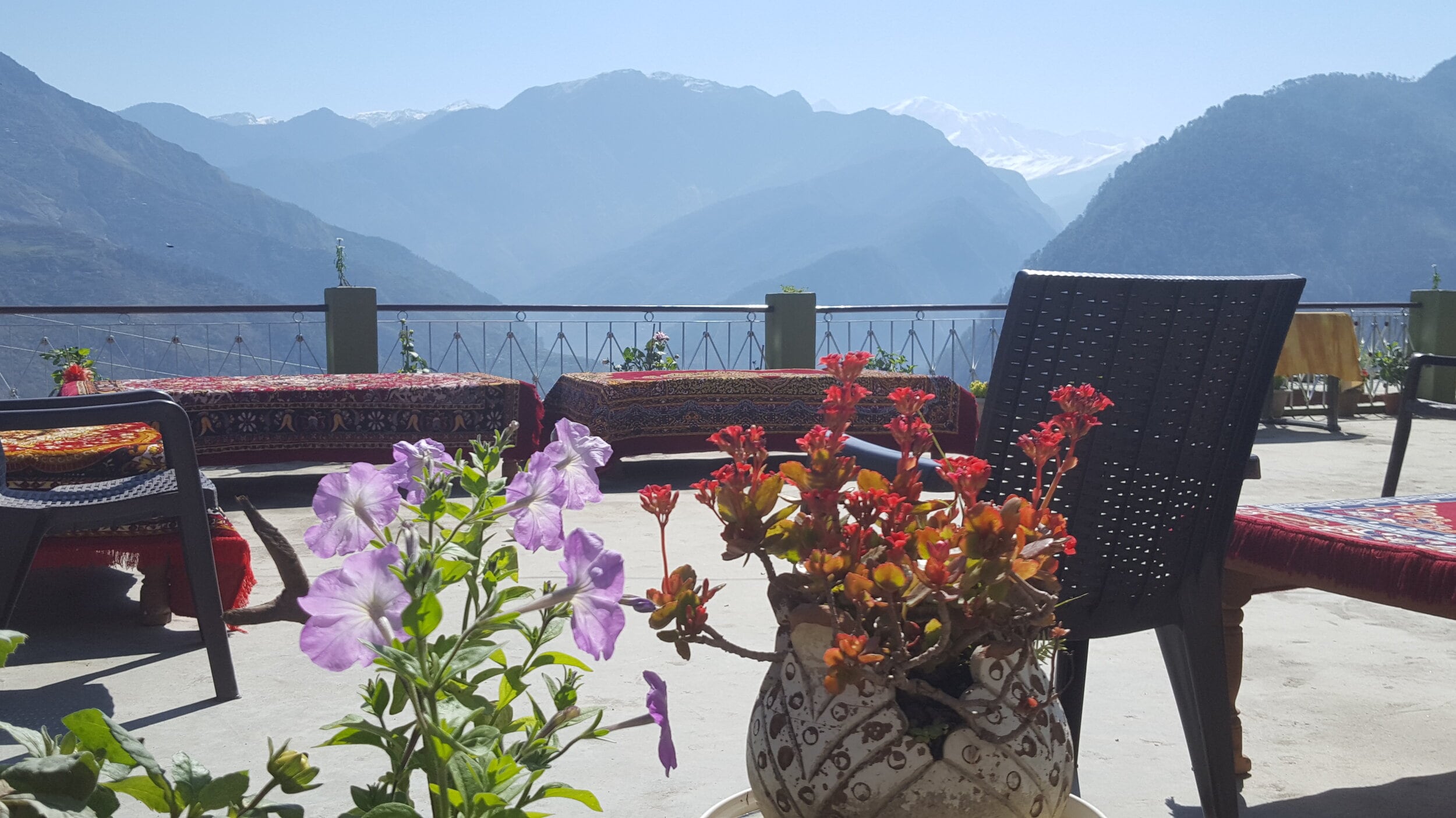 Peaches and Pears - Tap to explore photos