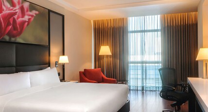 HILTON GARDEN INN LIMA SURCO Room Type - 1 KING BED