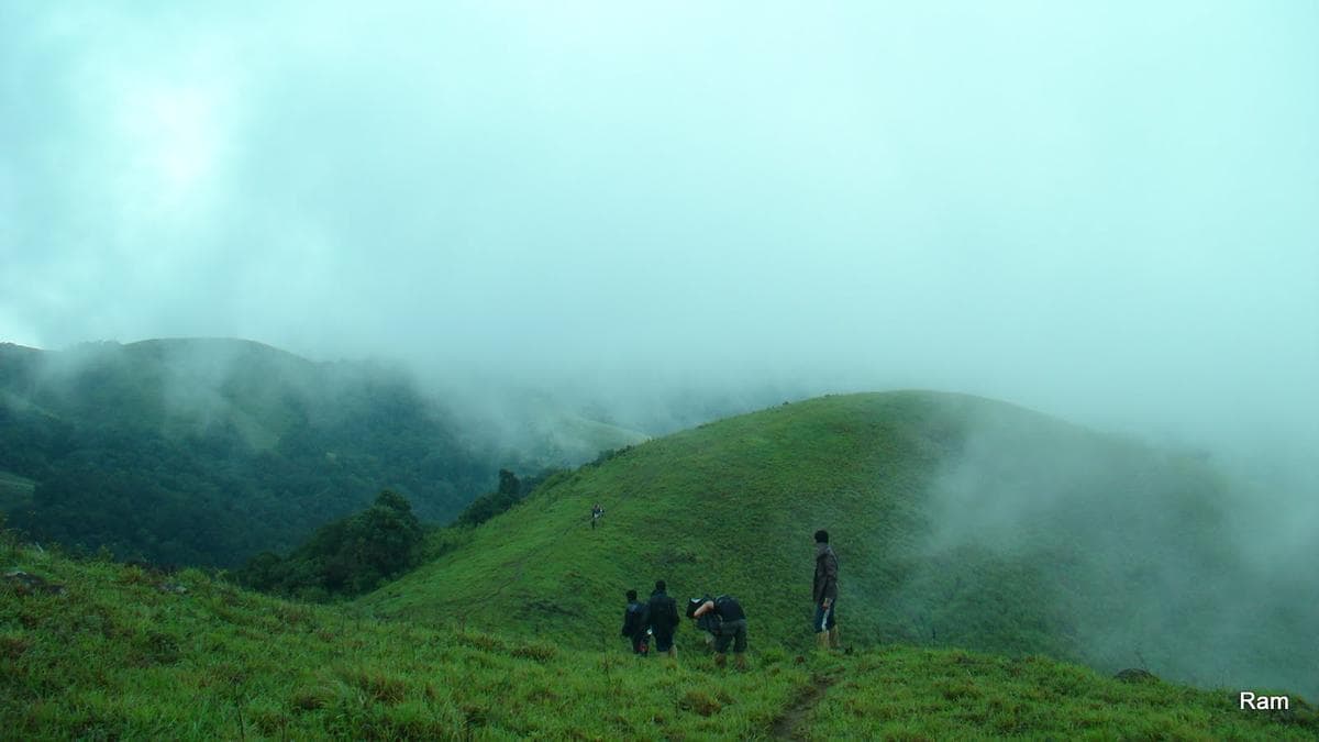 Periyar Nest Resort - Tap to explore photos