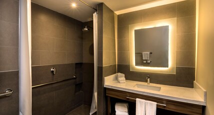 Hilton Garden Inn Aguascalientes Room Type - 1QN MOB HEAR ACC RI SHWR