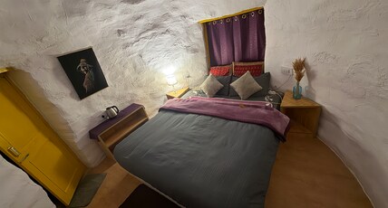 Spiti Eco Domes Room Type - Eco Dome with Mountain View