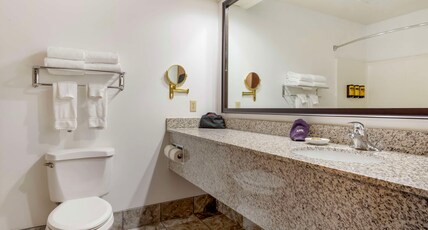 Best Western Plus Eau Claire Conference Center Room Type - 1 King Bed, Mobility Accessible, Bathtub, Sofabed, Non-Smoking, Full Breakfast