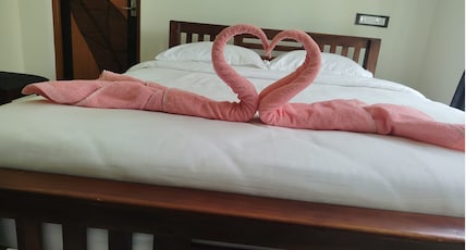 BKP Jungle Resort Room Type - Standard Room BKP Jungle Resort Room Type - Standard Room