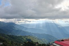 Gingko serene Homestay