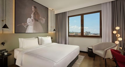 Radisson Red Belgrade Room Type - Standard Room