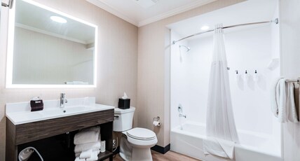 Hotel NoBo Cascade, Tapestry Collection by Hilton Room Type - 1 KING STUDIO SUITE
